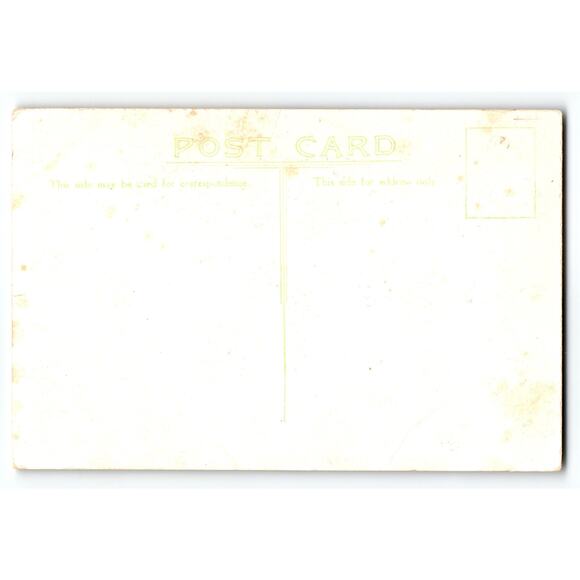 Vintage Fox Finch Bird Lithograph Postcard Northern Canada Call Note - Picture 2 of 2